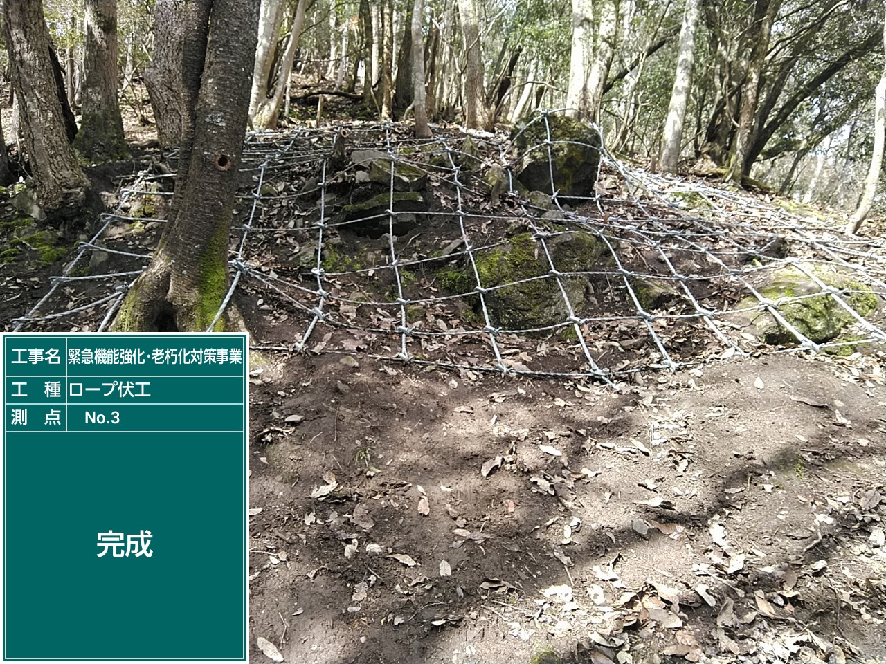 緊急強化・老朽化対策事業